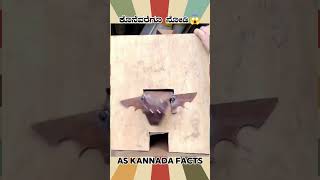 Amazing Steel Artist Fact Video  kannada facts karnataka amazing youtubeshorts trendingshorts [upl. by Tserrof]