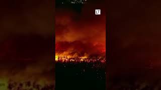 shorts  Voraz incendio forestal en New Jersey arrasa con más de mil hectáreas [upl. by Bodrogi]