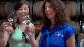 Sonoma Insider This is Not Your Typical Wine Tasting Tour [upl. by Brunk]