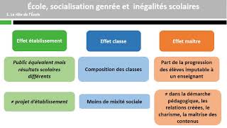 École socialisation genrée et inégalités scolaires [upl. by Durwyn827]