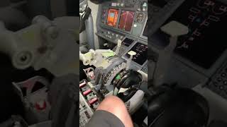 Quick Peek in a Delta Airlines 737800 Cockpit [upl. by Eicarg]