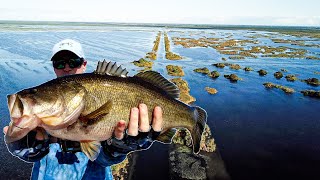 Headwaters Lake Bass Fishing for Giants [upl. by Salchunas]