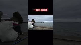 竿から目を離してはいけません【釣り】shorts 釣り アメリカナマズ アメナマ 霞ヶ浦 [upl. by Kizzie]