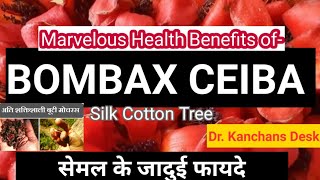 Bombax Ceiba Marvelous Health BenefitsYou should not missSilk cotton treeFlowerBarkGumL100 [upl. by Pega]