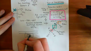 Receptor Tyrosine Kinases Part 5 [upl. by Laktasic388]