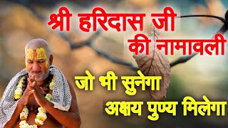 संगीत सम्राट स्वामी हरिदास जी महाराज की नामावली Baba Rasika Pagal  New Bhajan 2019 Swami Haridas [upl. by Hanway]