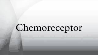 Chemoreceptor [upl. by Lauhsoj528]