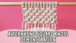 Alternating Square Knot Design Macrame Demonstration Tutorial [upl. by Letsirc295]