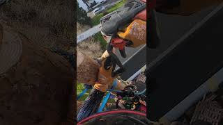 Husqvarna T540 popping a pine top husqvarna chainsaw treeclimbing [upl. by Ised]