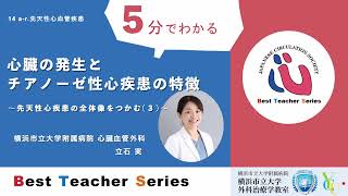 日本循環器学会5分でわかる循環器BestTeacherSeries 心臓の発生とチアノーゼ性心疾患の特徴 ～先天性心疾患の全体像をつかむ（３）～ 横浜市立大学附属病院 心臓血管外科 立石 実 [upl. by Rabin]