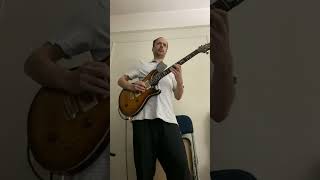 Comfortably Numb with PRS Special 22 semi hollow [upl. by Akcinat]