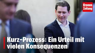 KurzProzess Ein Urteil mit vielen Konsequenzen  kronetv NEWS [upl. by Ahsratan632]