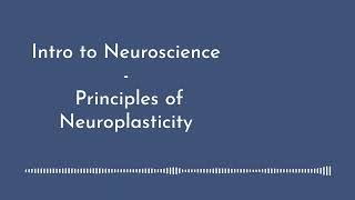 Intro to Neuroscience  Principles of Neuroplasticity [upl. by Hemetaf]