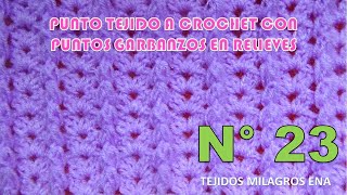 Punto N° 23 tejido a crochet Punto ABANICOS con GARBANZOS EN RELIEVES para Mantitas de bebe [upl. by Neelyk]