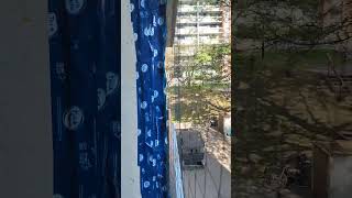 Quick Video From Balcony 865 2nd Floor Gladstone Avenue Ottawa Canada Sept 1624 [upl. by Queena]