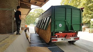 Getreide Weizen einlagern mit Deutz Agrotron 6160 [upl. by Sweatt444]