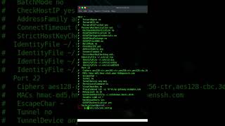 Como fazer acesso remoto no pc utilizando o celular ssh termux ngrok acessoremoto linux [upl. by Kirstyn]