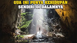 Gua Hang Son Doong Gua Misterius Yang Dipercaya Punya Kehidupan Sendiri Di Bawah Tanah [upl. by Wivinah]