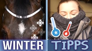 STALLTIPPS  WINTER EDITION  BinieBo [upl. by Bueschel263]