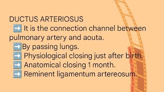 DUCTUS ARTERIOSUSDUCTUS VENOSUS FORAMEN OVALE [upl. by Naleek]