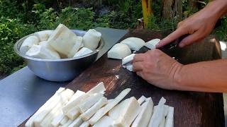 Cooking Yuca Fries Fresh from the Garden  Cassava Root Harvest [upl. by Sakram986]