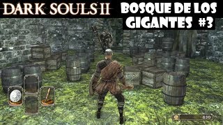 Dark Souls 2 guia BOSQUE DE LOS GIGANTES CAÍDOS 3  Conseguimos la Saponita señal blanca  Ep6 [upl. by Lillie]