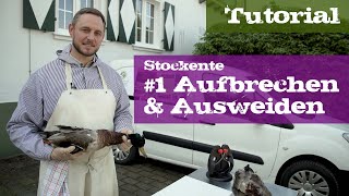 Stockente 1 Aufbrechen und Ausweiden [upl. by Wilona]