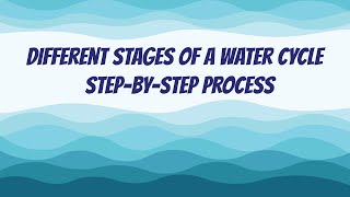 Different Stages of a Water Cycle  StepByStep Process [upl. by Hurley]