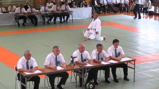 CHAMPIONNAT DU JAPON 2013 KOSHIKI NO KATA [upl. by Onateag68]