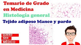 Tejido adiposo blanco y pardo  Histología [upl. by Jareb]