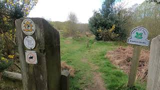 Nidderdale Way Day 6 [upl. by Iinden]