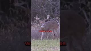 Best TIp For Hunting Your Target Buck hunting deerhunting deerseason podcast tips whitetails [upl. by Ennej]