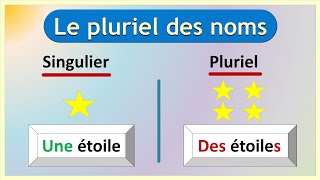 Orthographe et Grammaire Française  Le Singulier et le Pluriel des Noms [upl. by Eirehs373]