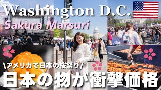 【全米桜祭り】円安の打撃！ワシントンDCで日本のお祭り！日本食？アメリカから見た日本の文化🇺🇸🌸 [upl. by Clarisse787]