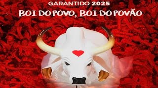 Tema Garantido 2025  Boi do Povo Boi do Povão [upl. by Arica254]