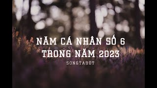 năm cá nhân số 6 trong năm 2023 [upl. by Dulcy]