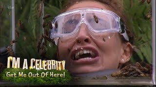 Ferne Spencer and Vicky Face Terrifying Bushtucker Trial  Im A Celebrity Get Me Out Of Here [upl. by Miche]