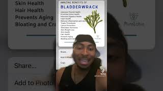 Benefits Of Bladderwrack 😏🌿✨ [upl. by Lienet]