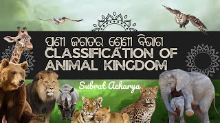 classification of animal Kingdom ପ୍ରାଣୀ ଜଗତର ବର୍ଗୀକରଣ [upl. by Shelden]