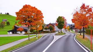 🍂 Golden Autumn in Appenzell Switzerland 🇨🇭 🍁 Autumn Vibes in the Swiss Countryside  swiss [upl. by Alolomo3]