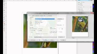 Rasterizing Images in CorelDRAW  Tricks and Tips [upl. by Inol]