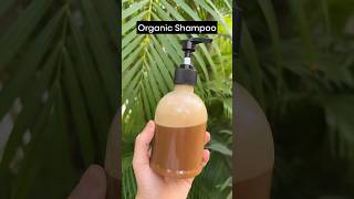 DIY Organic Shampoo 🧴 [upl. by Ardnahc]