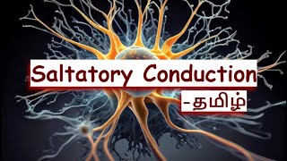 Propagation of action potential in தமிழ்  LLAP [upl. by Lrad399]