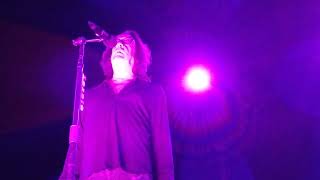 Todd Rundgren  Beloved Infidel  Louisville Palace  9252024 [upl. by Lemhar]