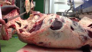 butcher school 2 Boning hind quarter [upl. by Idaf]