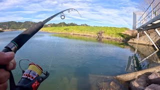 Canal Fishing With The Smallest Lures I Have Ever Used [upl. by Euqnomod]