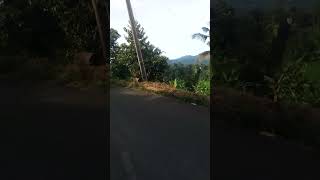 masih disekitaran kaki gunung salak [upl. by Ahsratal]