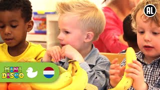 FRUITLIED  Kinderliedjes  Kinderdagverblijf  Minidisco [upl. by Gnahk]