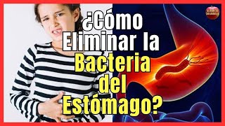 💚 11 REMEDIOS CASEROS NATURALES PARA ELIMINAR HELICOBACTER PYLORI 💚 La Bacteria del Estómago [upl. by Rosenkrantz]