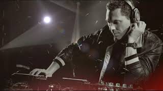 Tiësto amp MOSKA  Acordeão Tiësto  Live  Tomorrowland 2019 [upl. by Kelcy]